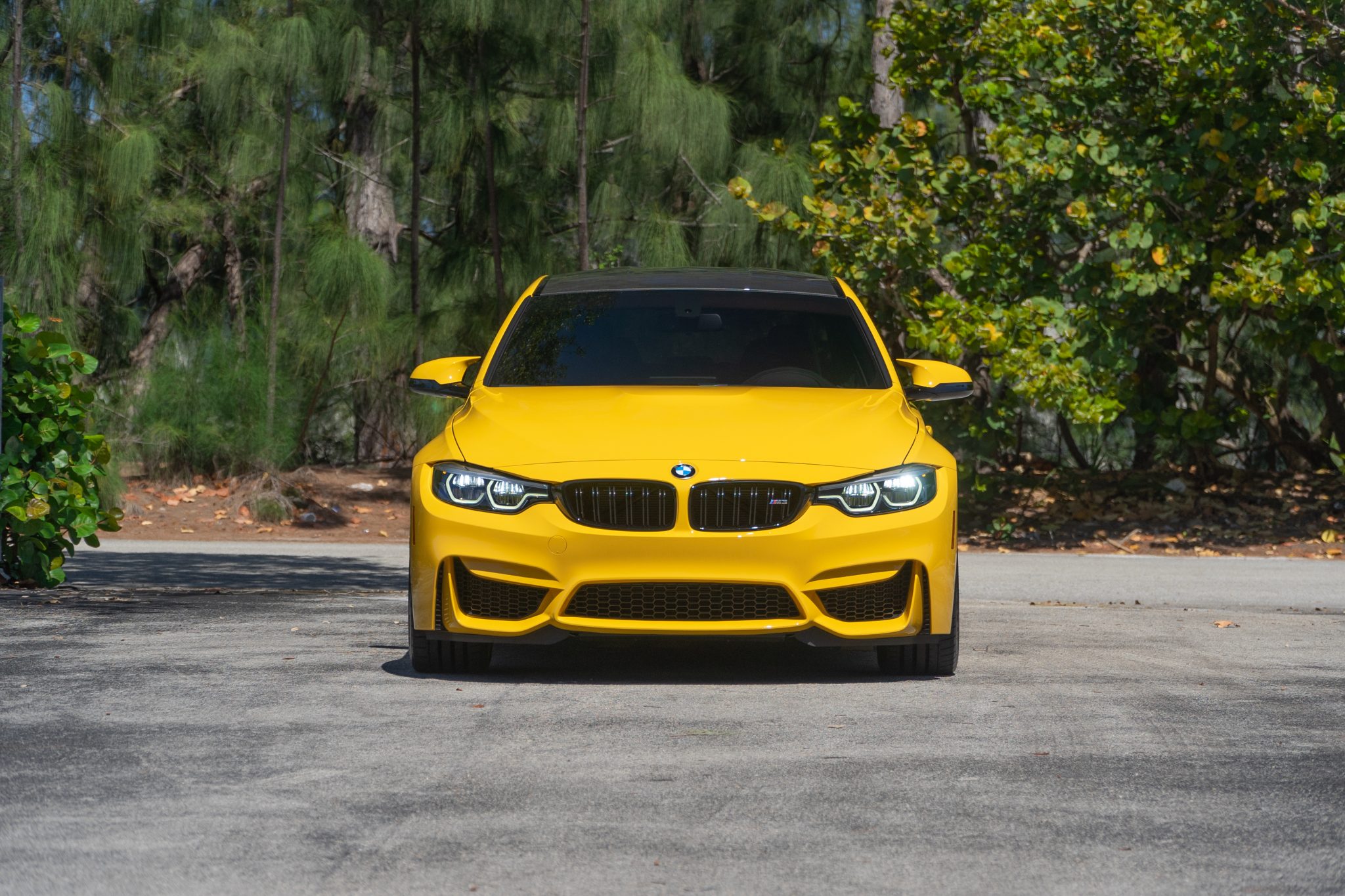 Speed Yellow 2018 BMW M3 Competition Package 6-Speed